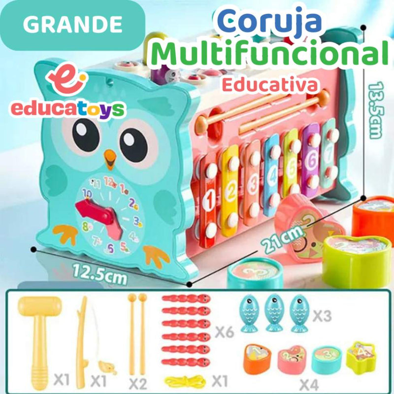 Coruja Multifuncional Educativa