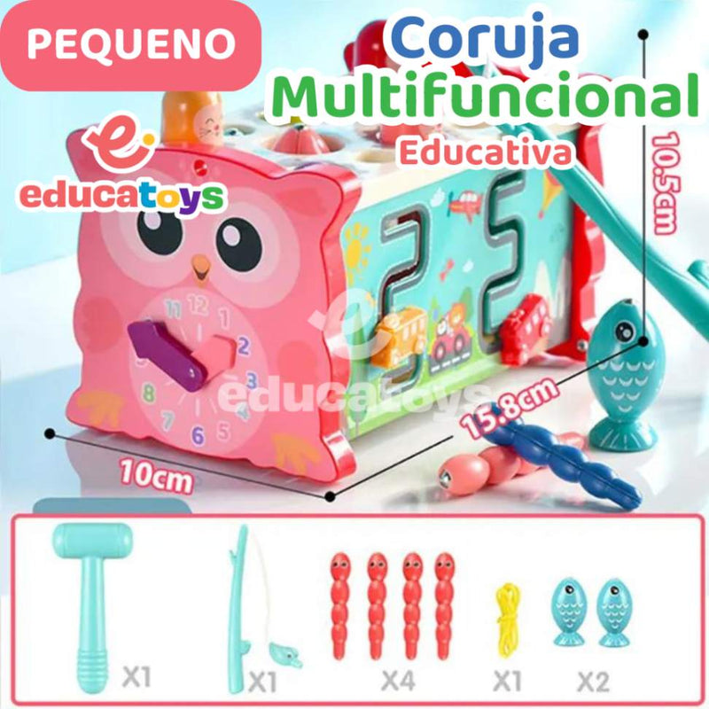 Coruja Multifuncional Educativa