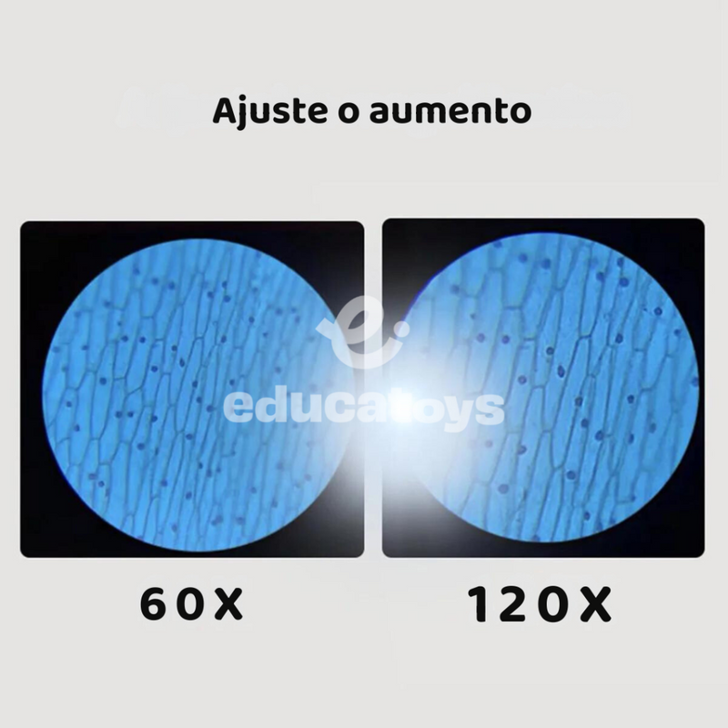 Microscópio de Bolso