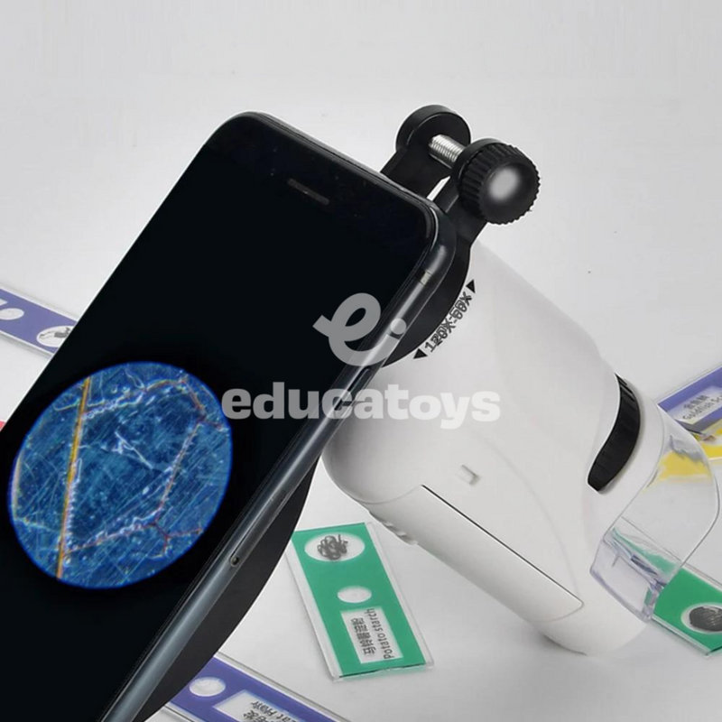 Microscópio de Bolso